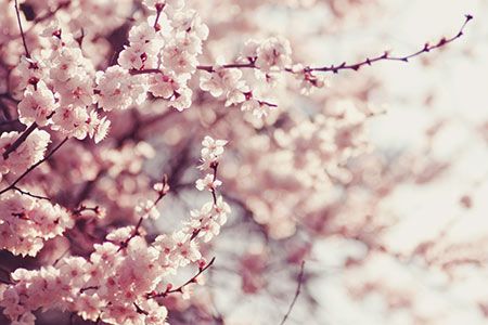 Emerging opportunities for LNG in Asia: part two