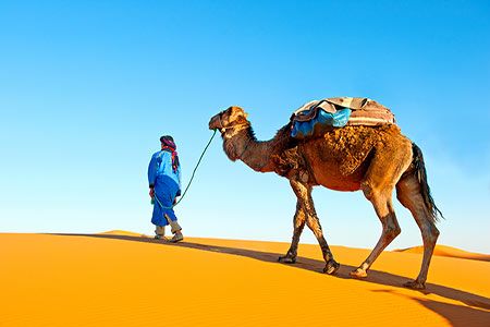 Economic slowdown impacts MENA LNG