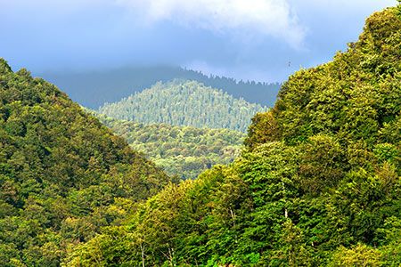 MEYER Group to reduce cruise ship emissions
