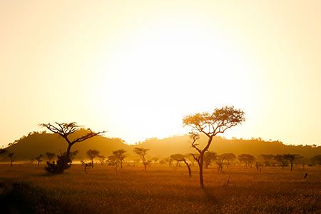 ABB to provide electrical systems for Mozambique LNG Project